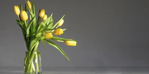 FLORISTERÍA