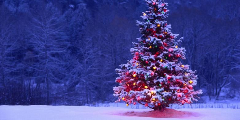 NAVIDAD